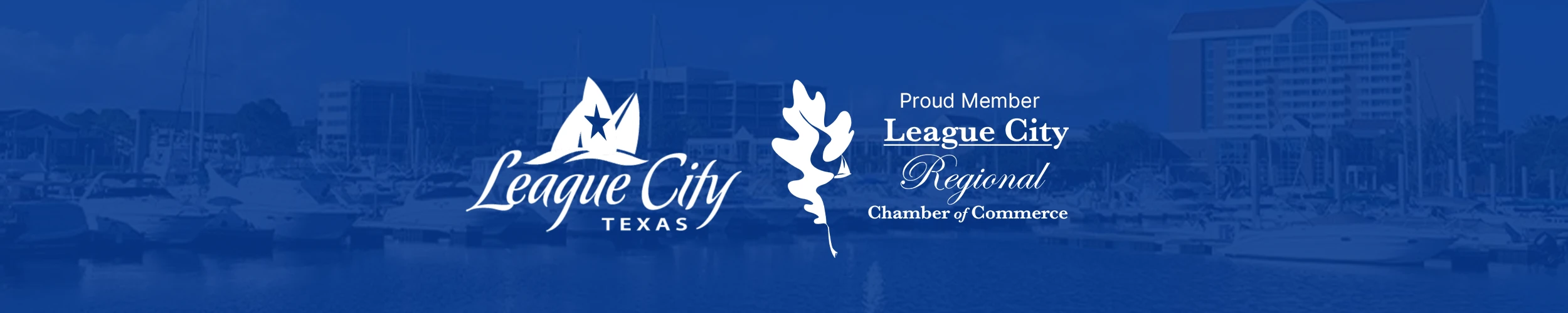 League City Web Design