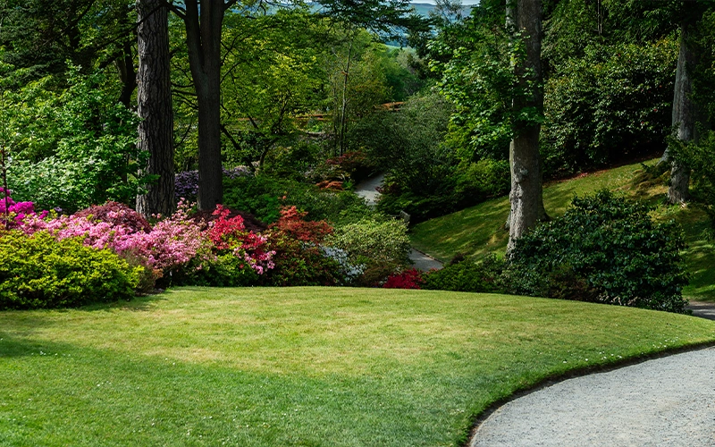 landscaper marketing services ideal for lawn care companies who need local seo, website help, or google business profile management